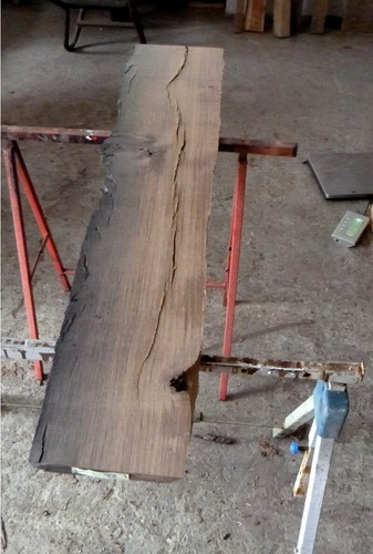 Mooreiche moorholz - mooreiche,