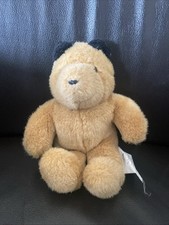 Bär Teddy Schildkröt