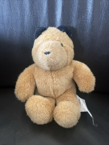 Bär teddy schildkröt - bär,