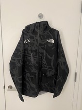KAWS x The North Face Free