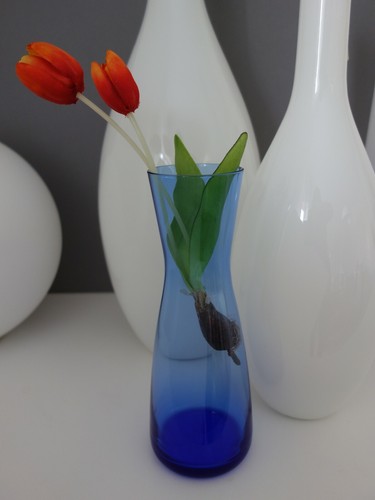 Hyazinthenglas hyazinthenvase - hyazinthenglas,
