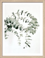 PRO ART Gerahmtes Bild EUCALYPTUS BHT 32.50x42.50x2 cm bunt