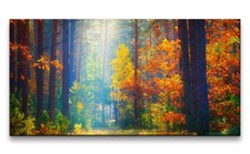 120x60cm Leinwandbild Schöner