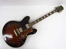 Halbakustische E-Gitarre