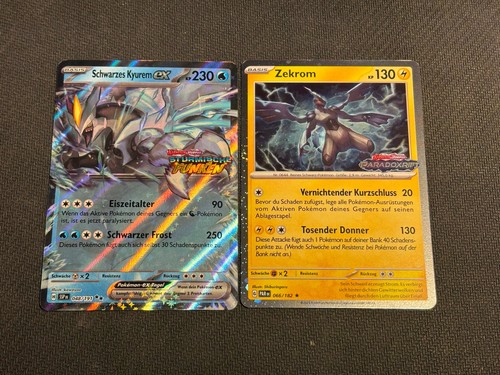 2er set zekrom - 2er,