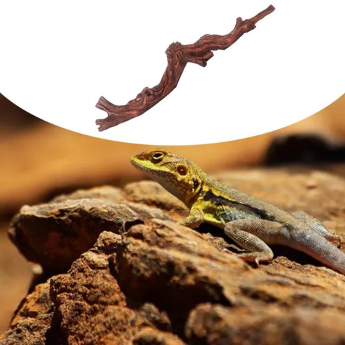 Reptilien ecke kletterzweig - reptilien-ecke,,