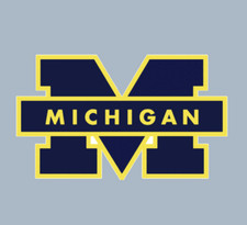 Car Magnet - Michigan