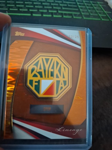Badges bavaria badge 1919 - of,