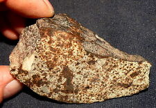 Endstück Stein-Meteorit NWA