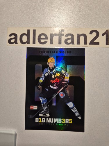 Del 2025 2026 big - 25-26, 2025-2026