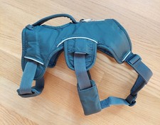 Ruffwear Web Master