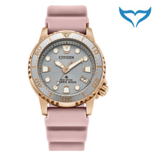 Citizen Promaster Marine