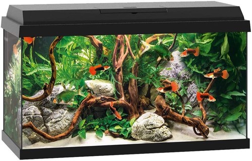 Juwel aquarium set primo - juwel,