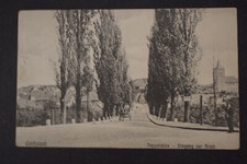 Ak Gerbstedt, Pappelallee -