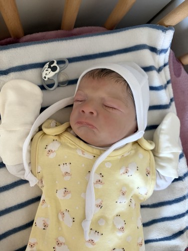 Reborn baby milan - reborn,