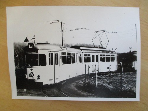 Altes foto - altes,