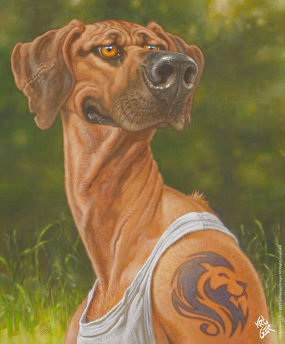 Aufkleber sticker dog - sticker,