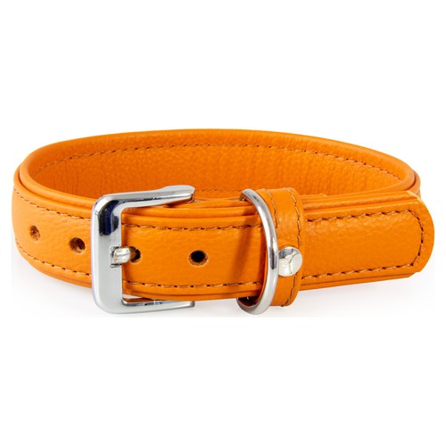 Das lederband hunde halsband - das,