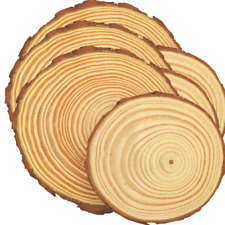 Baumscheiben mit Rinde 6er Set