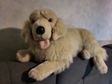 Golden Retriever,Labrador