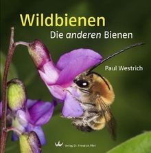 Wildbienen die anderen bienen - anderen,
