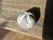  Seeigel Ostsee Steinkern Versteinerung 