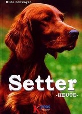 Setter heute by Schwoyer, Hilde | Book | condition very good