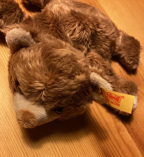Steiff knopf im - 🤩steiff,