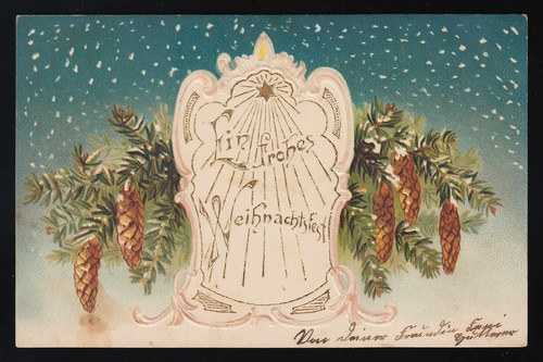 Weihnachtsstern schnee reisig - schnee,