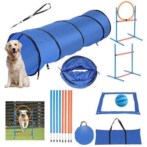 Hunde agility indoor - indoor, Übung