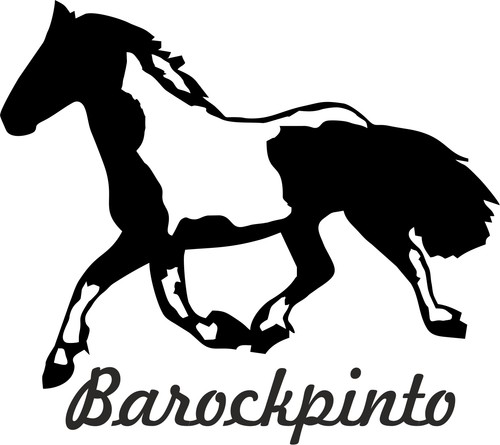 Auto aufkleber barockpinto - 2,