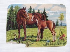 Glanzbild Oblate Poesiealbum Sammlung Kinder alt Tiere Pferde Fohlen Wald Wiese