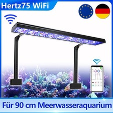 PopBloom H75 WiFi aquarium