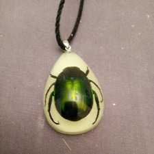 Grün schillernder Skarabäus