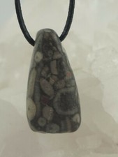 TROCHIT SEELILIE Anhänger