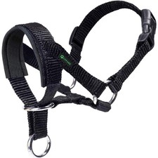 Hundehalsband Polster Nylon Schwarz M Hundegeschirr Gassi Lauf
