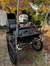 pferdekutsche Marathon-Kutsche