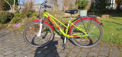 Pegasus mädchenrad zoll - pegasus, 26