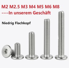 M4 M5 Niedrig Flachkopf