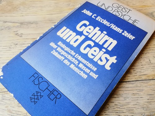Gehirn und geist biologische - gehirn,