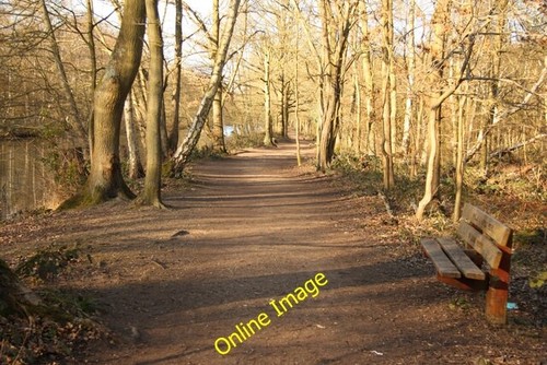 Foto 6x4 hartsholme - foto,