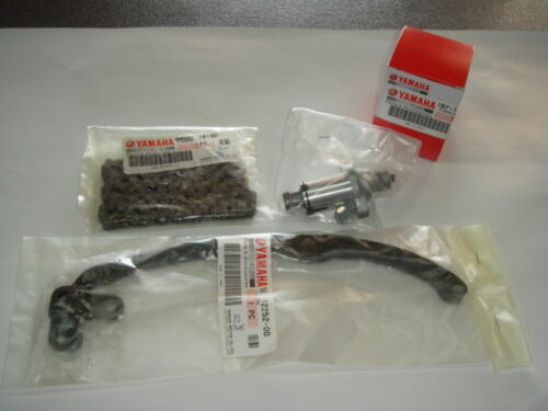 Kettenspanner und