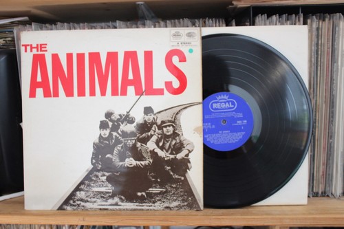 The animals vg regal - animals,