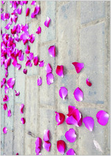 Briefpapier Hochzeit - DIN A4 - Papier für Einladungen - 20 Blatt - Motiv Nr. 04