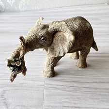 Tuskers Elefanten