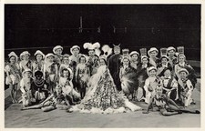 724240) AK Schäfers Circus