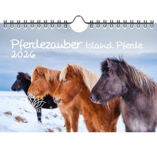 Pferdezauber Island Pferde DIN