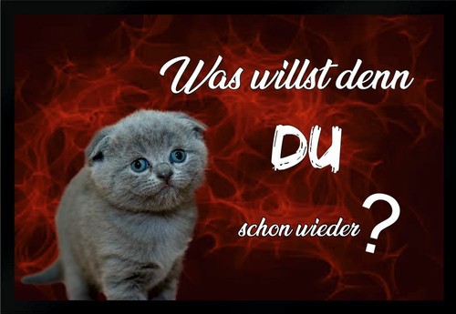 Fußmatte schmutzfangmatte - fußmatte,