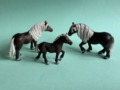 Schleich schwarzwald 13663 - schleich,