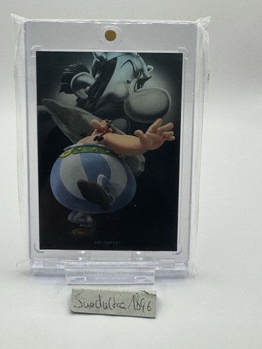 Panini asterix sine tempore - asterix,